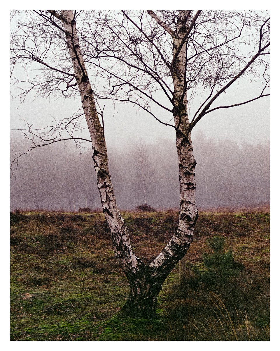 LetsExploreMag's tweet photo. Slowly starting to really love Kodak ProImage100. These are pushed 2 stops, which for now seems to be pushing (...) the limits. But I might be doing something wrong.
#BelieveInFilm
#HomeDev
#HomeScan https://t.co/bkEbUaI7Hb