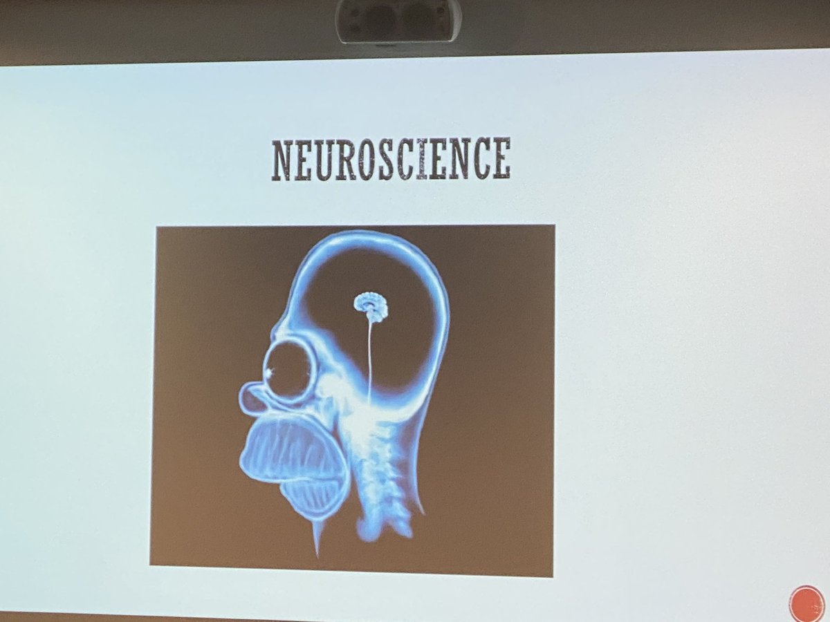 nzdigitallearnr's tweet photo. Homer used to discuss neuroscience, gold... #SOTELNZ https://t.co/WMjsGZ7bBR