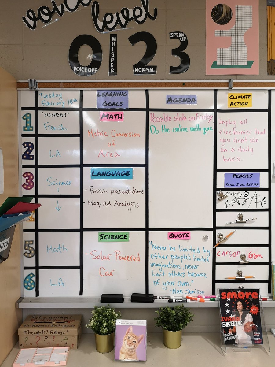 MsWilsonMapleG1's tweet image. 