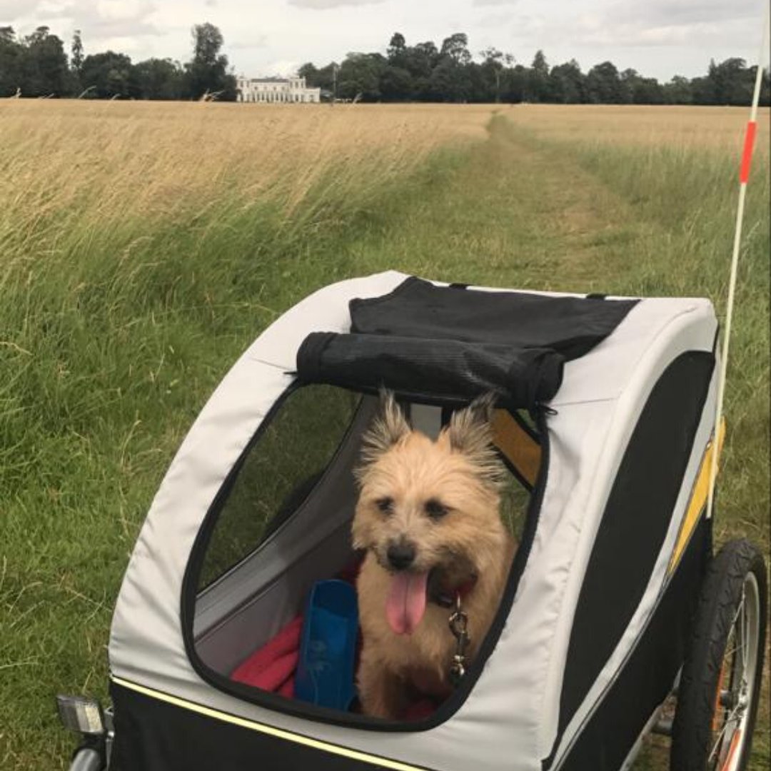 Our four legged friend enjoyed his ride in this iconic park. Can you guess where this is? 

#TuesdayTrivia
