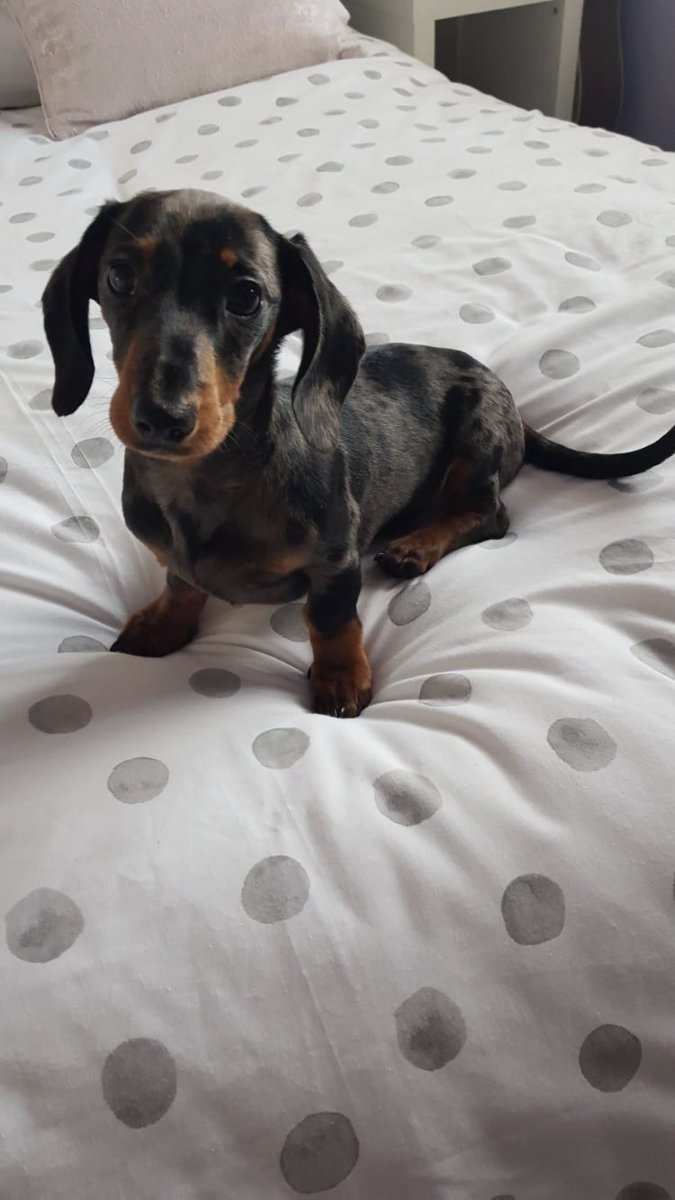 samando93's tweet image. You are gorgeous son x