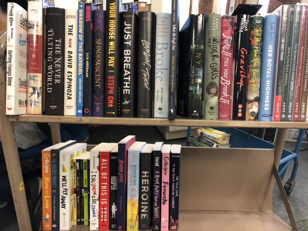 RBrary's tweet photo. Happy #newbooktuesday! Thanks @JrLibraryGuild and @iSchoolUI Center for Children’s books for the book mail and a great book sale!! #ireadya #RBReads #bookstack https://t.co/iepsCFJjCf