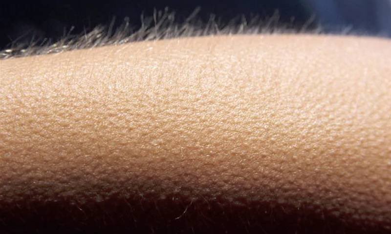 joelgrandis's tweet photo. Me after that performance from Dave #Brits2020 https://t.co/Dzl7H0rDva