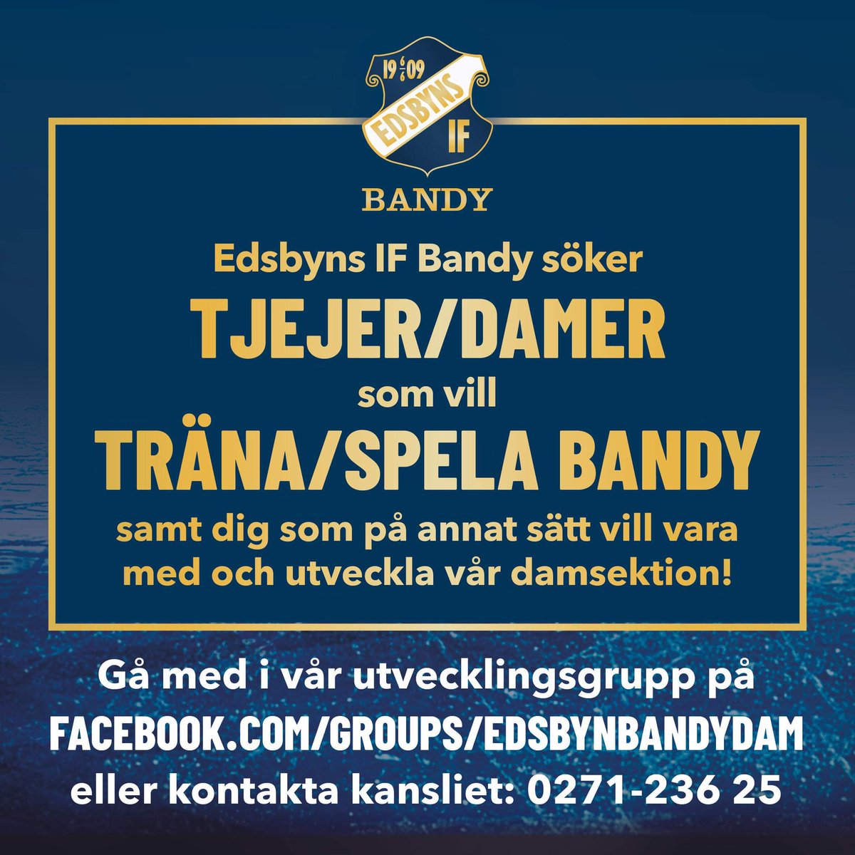 Bandybyn's tweet photo. Ifjol hade vi rekord i antalet unga tjejer i föreningen. Nu söker vi fler bandyintresserade tjejer/damer i edsbyområdet. #svbandy #Edsbyn #Alfta #Ovanåker #Hälsingland https://t.co/NL3PzwYpdI
