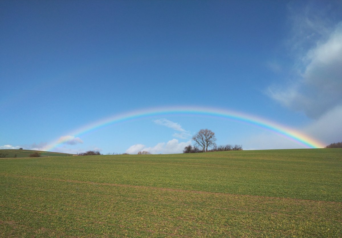 Heute auf dem Heimweg geknipst.
#mdRzA #bike2work