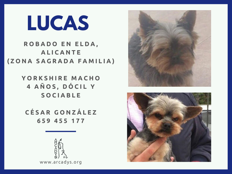 ¡¡Lucas ha sido robado!! - arcadys.org/lucas-ha-sido-…