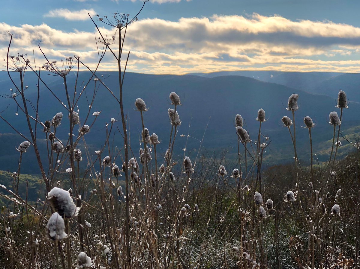 “Like music and art, love of nature is a common language that can transcend political or social boundaries.” 
~Jimmy Carter #quote