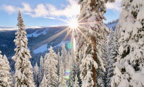 Montanerosvail's tweet photo. This is our view today. Are you dreaming about Vail? Come and stay with us. Select dates are on sale now. Change your view, visit Vail. Book Direct https://t.co/Q95R8mUQvc
#vail #visitvail #vaillife #mountainlife #vailcondos #vailrentals #springskiing #ski #ride
πΈ @vailmtn https://t.co/lNQi1MXh25