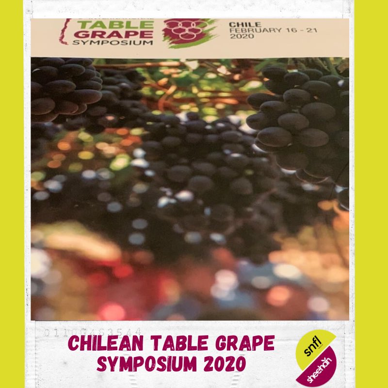 SNFL - Sheehan Genetics tweet media