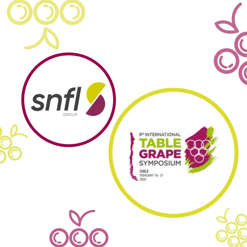 SNFL - Sheehan Genetics tweet media