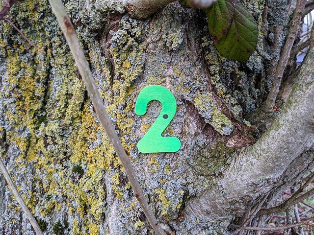 Half term means scavenger hunt time! We've dotted 10 neon numbers around the Farm Shop that coincide with 10 questions on an activity sheet along with a map to lead the way.

Pick up your sheet from the till and head out to explore 🌱🧭🕵️‍♀️ ift.tt/2SGmrgh
