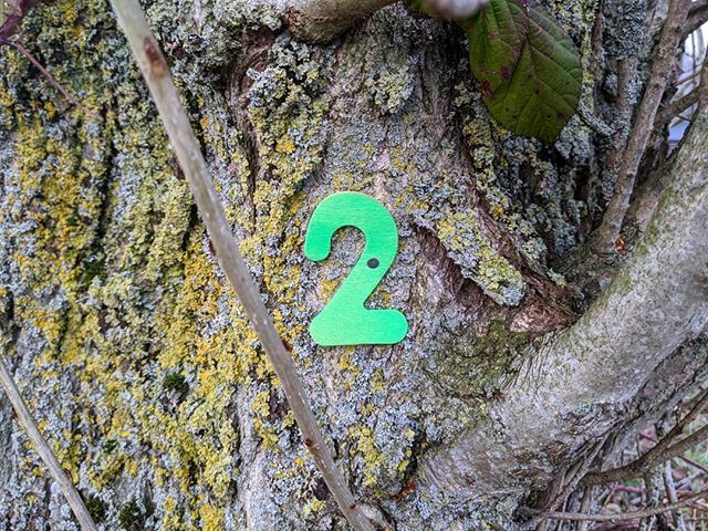 Half term means scavenger hunt time! We've dotted 10 neon numbers around the Farm Shop that coincide with 10 questions on an activity sheet along with a map to lead the way. Pick up your sheet from the till and head out to explore 🌱🧭🕵️‍♀️ ift.tt/2SGmrgh