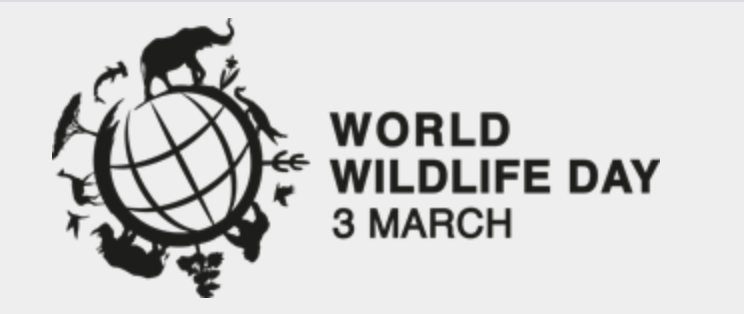 psergioalvarez's tweet photo. 3 de marzo. Día de celebración para redescubrir nuestra riqueza faunística y botánica. Celebraremos con una jornada cargada de actividades el "Día mundial de la Naturaleza"o también llamado "Día mundial de la vida silvestre". El Medio Ambiente es una responsabilidad ineludible. https://t.co/5xOjhD72HF