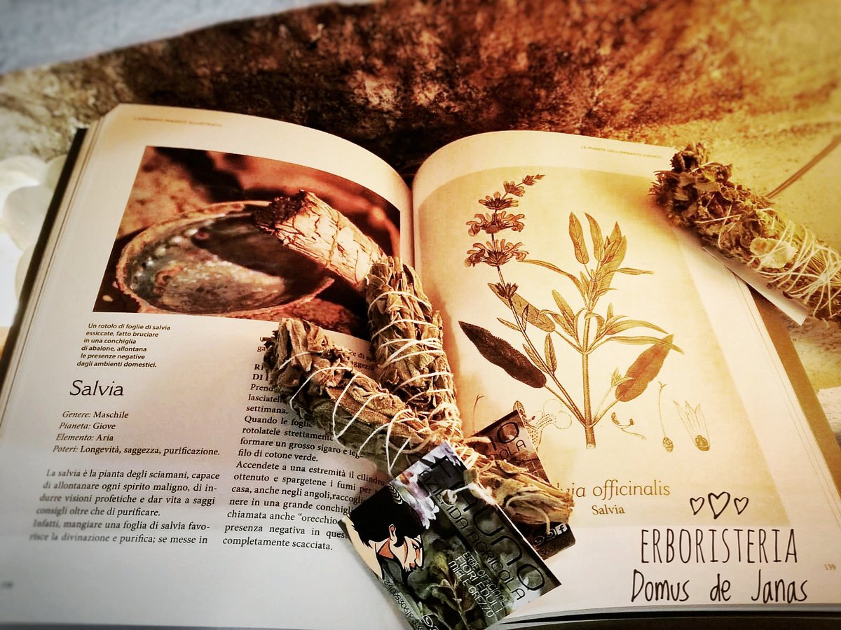 Erboristeria_rm's tweet photo. La #salvia è la #pianta degli sciamani! 🍃 Se... https://t.co/KxBK5h55IV #casa #negatività #olioessenziale #salviabianca #erboristeria #incenso #relax #benessere #bio #yoga #bruciaincenso #novità #aromaterapia #roma #ciampino #santamariadellemole #frattocchie #marino https://t.co/n3gZHE8rJQ