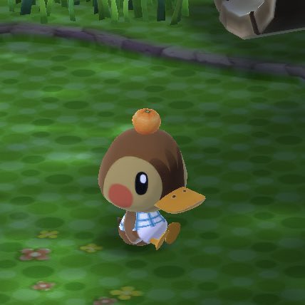This is what every animal crossing fan looks like waiting for new horizons