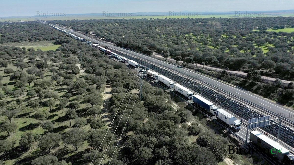birdronex tweet picture