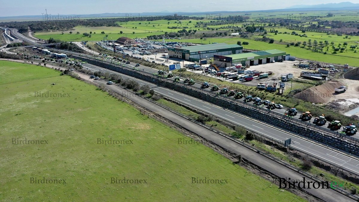 birdronex tweet picture