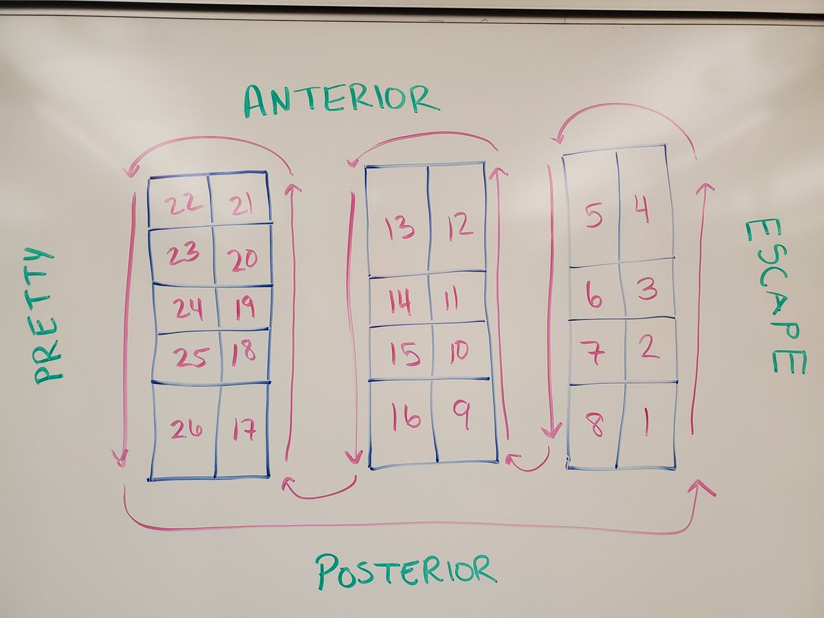 FuncMorph's tweet photo. Classroom maps on the board means it is lab practical time! Let's go #KnowPhysio! https://t.co/bcUuRRKKiK