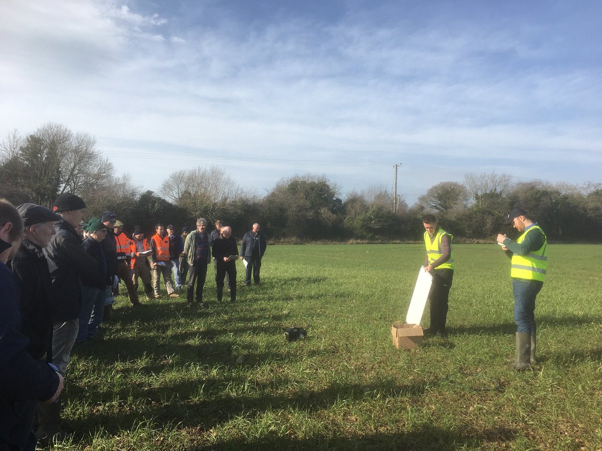 TeagascCrops's tweet photo. Teagasc Winter Crop Walk. Advice and Recommendations on current winter crops Thursday 20th Feb at 11am in Joe ODonoghues Stamullen. Please note change of date https://t.co/jQUetflJP1
