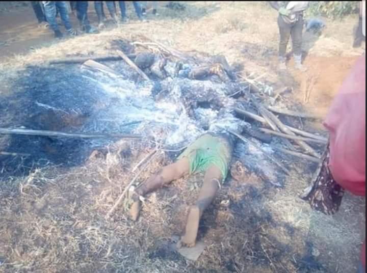 Andrea_Bockmann's tweet photo. After seeing these pictures from southern cameroons, can't believe this is happening in modern times. Where is AU,UN ? European Union, Common wealth , America? How can fellow humans be treated like this because of territorial intergrety ? Somebody do something I wish I had ... https://t.co/GzgsuLdEyk