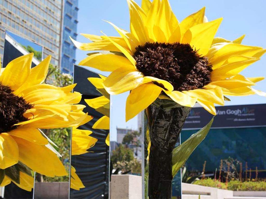 PTuristicaMex's tweet photo. #Reforma se llena de girasoles🌻🌻

¡Vive y celebra el amor como Vincent lo hizo en cada trazo. La Expo #VanGoghAliveMX está por estrenarse!

@TurismoCDMX
@fmpt_cdmx
@VanGoghAliveMx

Toda la información aquí🇲🇽👇

https://t.co/Q0oUhYQExK https://t.co/rMQIhgWKeZ