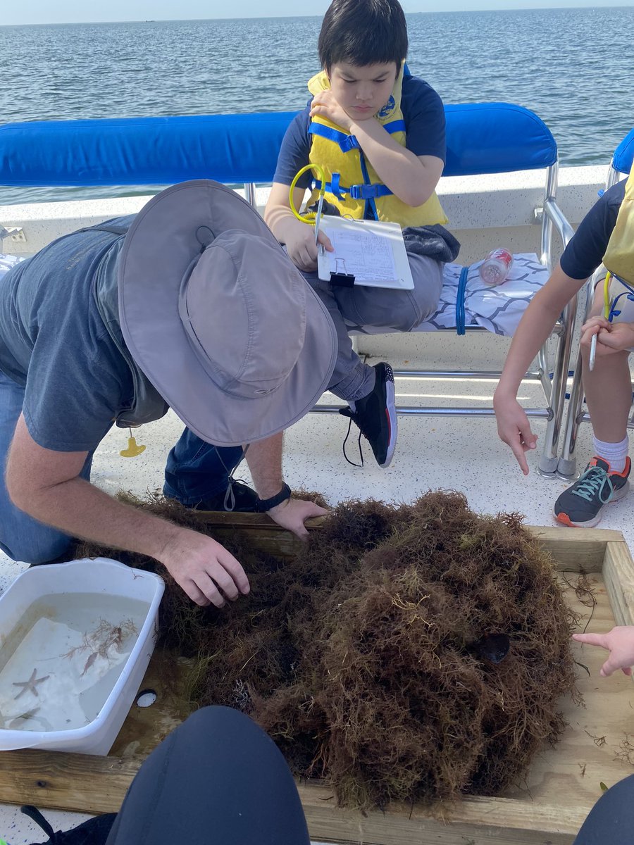 MsMoss10's tweet photo. Fourth-grade had a blast at the marine science station today! @MSS_Citrus @CitrusSchools @CSESHawks #allaboardCSE https://t.co/uXi5V6TpnU