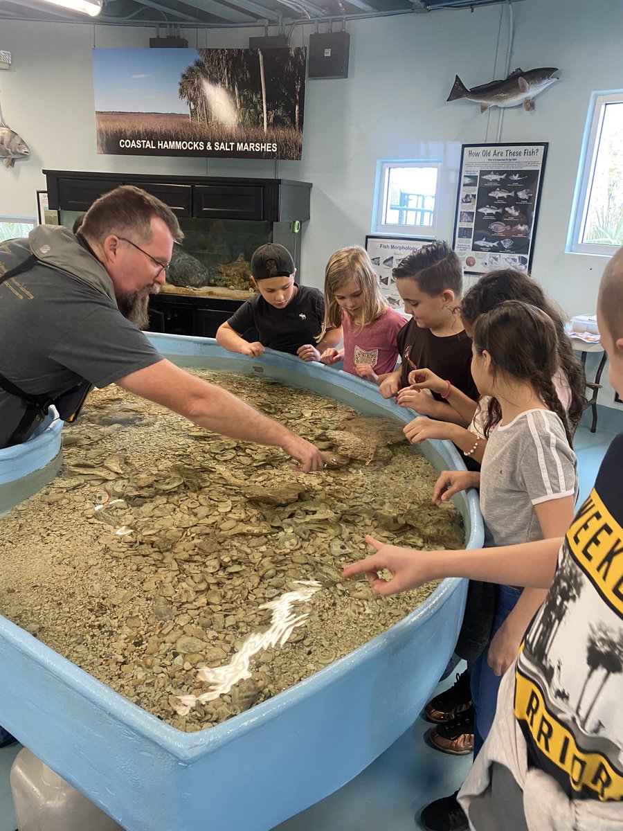 MsMoss10's tweet photo. Fourth-grade had a blast at the marine science station today! @MSS_Citrus @CitrusSchools @CSESHawks #allaboardCSE https://t.co/uXi5V6TpnU