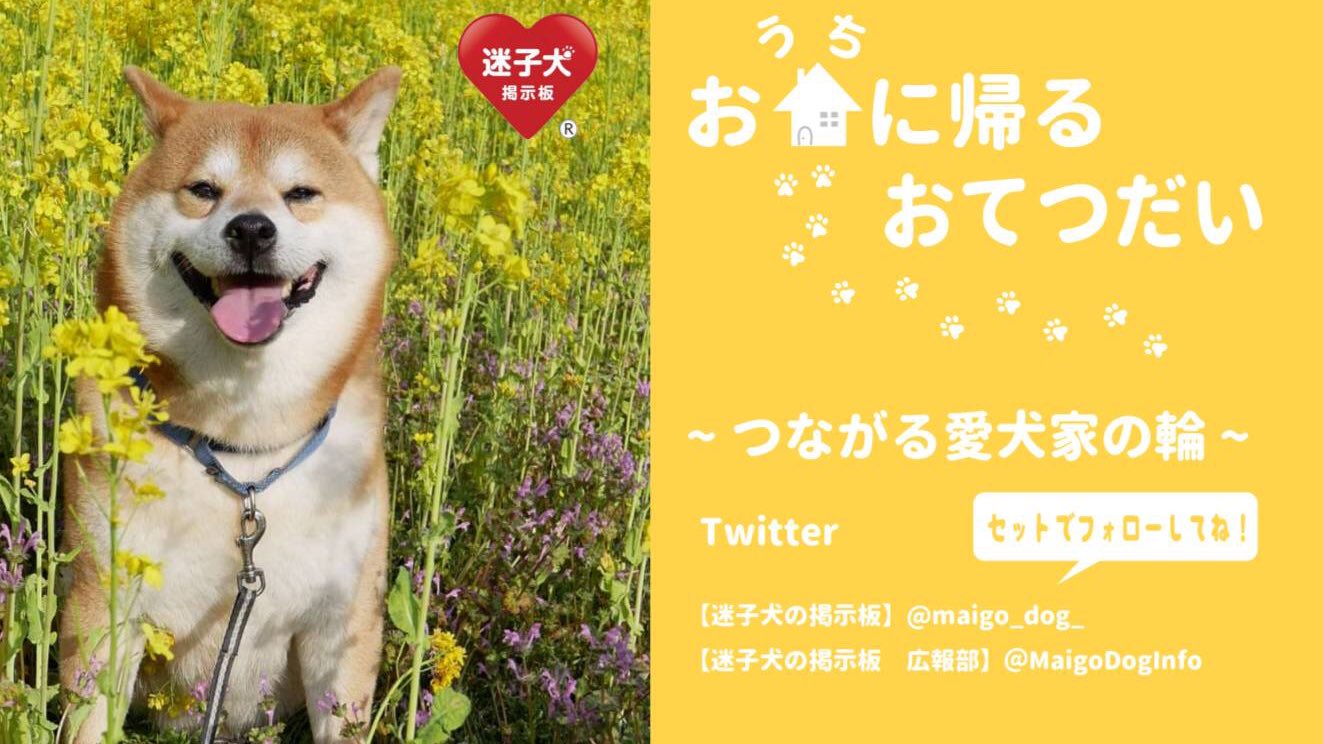 愛犬家同士の助け合い Twitter Search Twitter