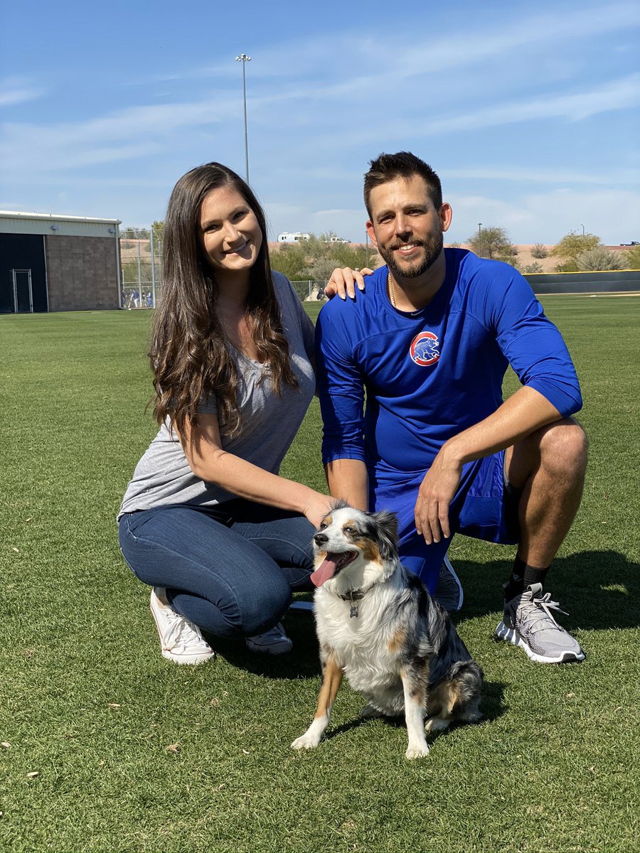 Cubs's tweet photo. Bring your pup to work day at #Cubs camp! https://t.co/XB6YQVgW9W