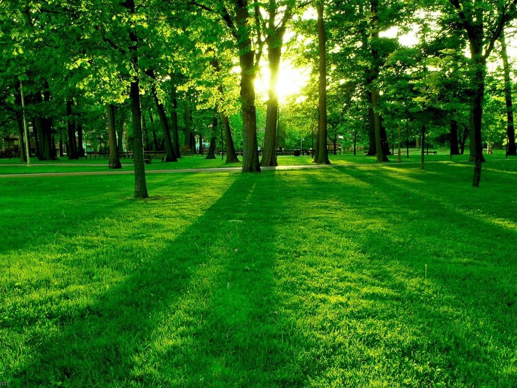 Hello Twitterworld 🙋🏼‍♂️
       🌳🌿🍀🌱🍃🌞
Spring ahead soon!
          ✌🏻....Everyone!