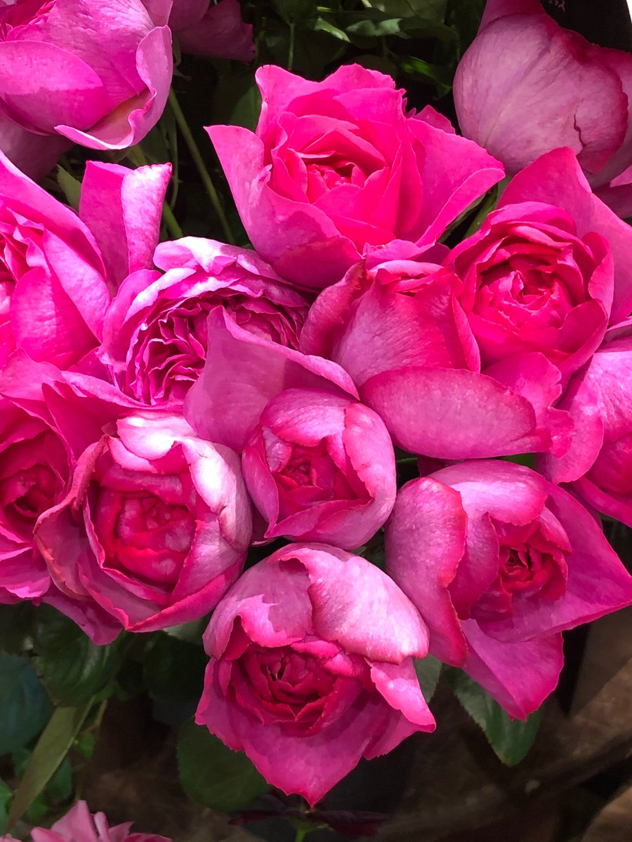 おはようございます😉💕☕️
(Good  morning)❤️

2月19日…………水曜日‼️

今朝も寒いです🥶
でも昨日ほどでもないようです。

週の半ば、今日も皆様元気に頑張っていきましょう……👍🤗

💙 Happy day💙