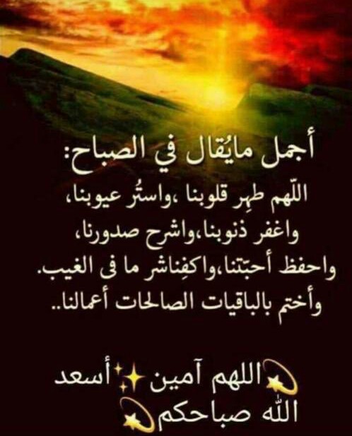 vvsooss's tweet photo. صَباحُ الخير لكُل روح تُخبئ بين أضلاعها حُلماً يُلامس عُنق السّماء ، صباحُ الخير لكُل أُمنية تُرفرف في صَدر التفاؤل  ، وتُروى بالدّعاء 🌷 https://t.co/2a6O6HcpH5
