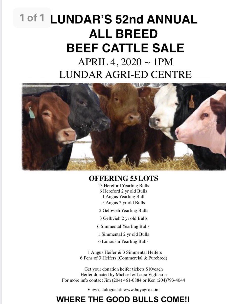 LundarFair's tweet photo. Just over 6 weeks away. Catalogues will be available soon. #wherethegoodbullscome #lundar #allbreed https://t.co/dwCSC4Kj5v