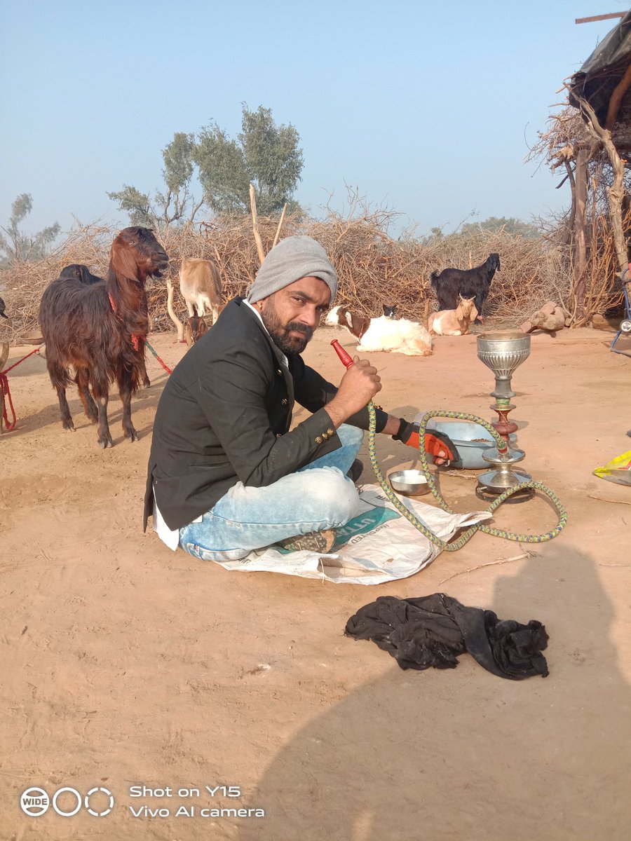 BGodaa's tweet image. Mera gaaw mera #स्वाभिमान