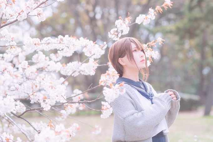 コスプレイヤーmonaのTwitter画像17