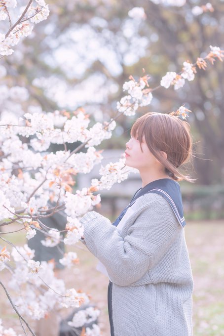 コスプレイヤーmonaのTwitter画像15