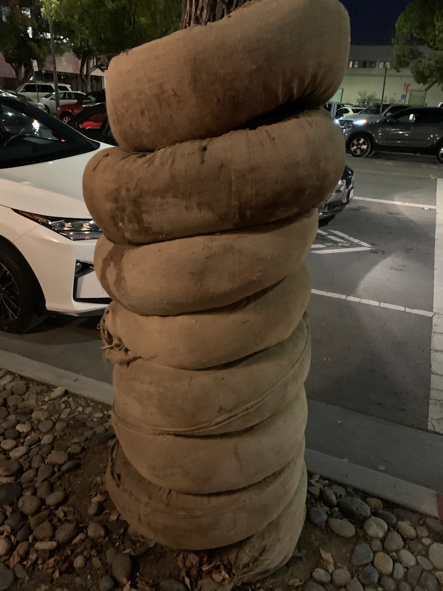 A tree wrapped up in something that looks kinda like a burlap snake.