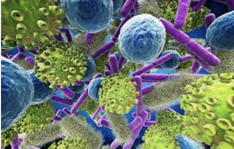 jmacpherson4's tweet photo. What do teachers, glitter, and germs have in common? They all add to the awesomeness of #blueapple's #pbl unit, Prevent the Spread! Apply to be a part of this collaborative group of educators: https://t.co/GZMJm6W2Ge #edchat #4thchat #5thchat https://t.co/bjkLUqNjgJ