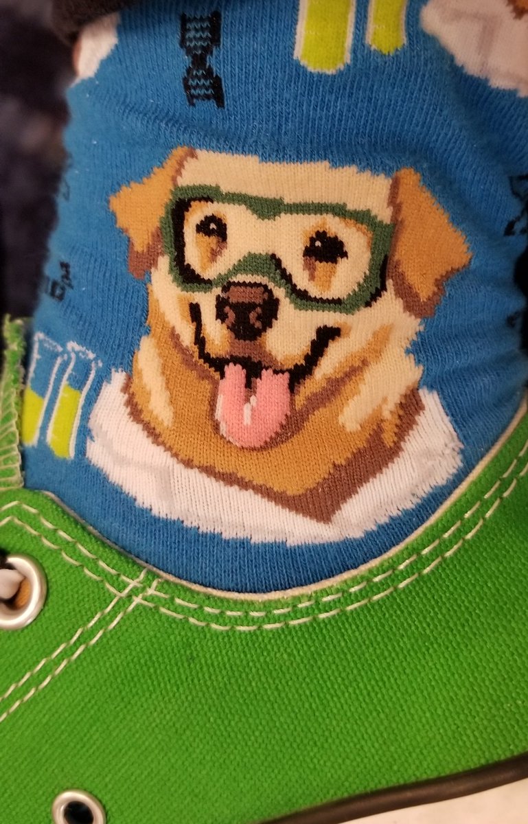 Kathy Smith Jewett tweet media