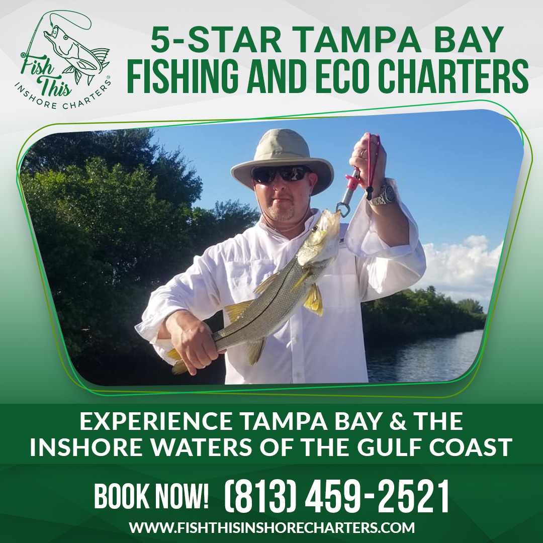 Fish This Inshore Charters (@fishthischarter) / Posts / X
