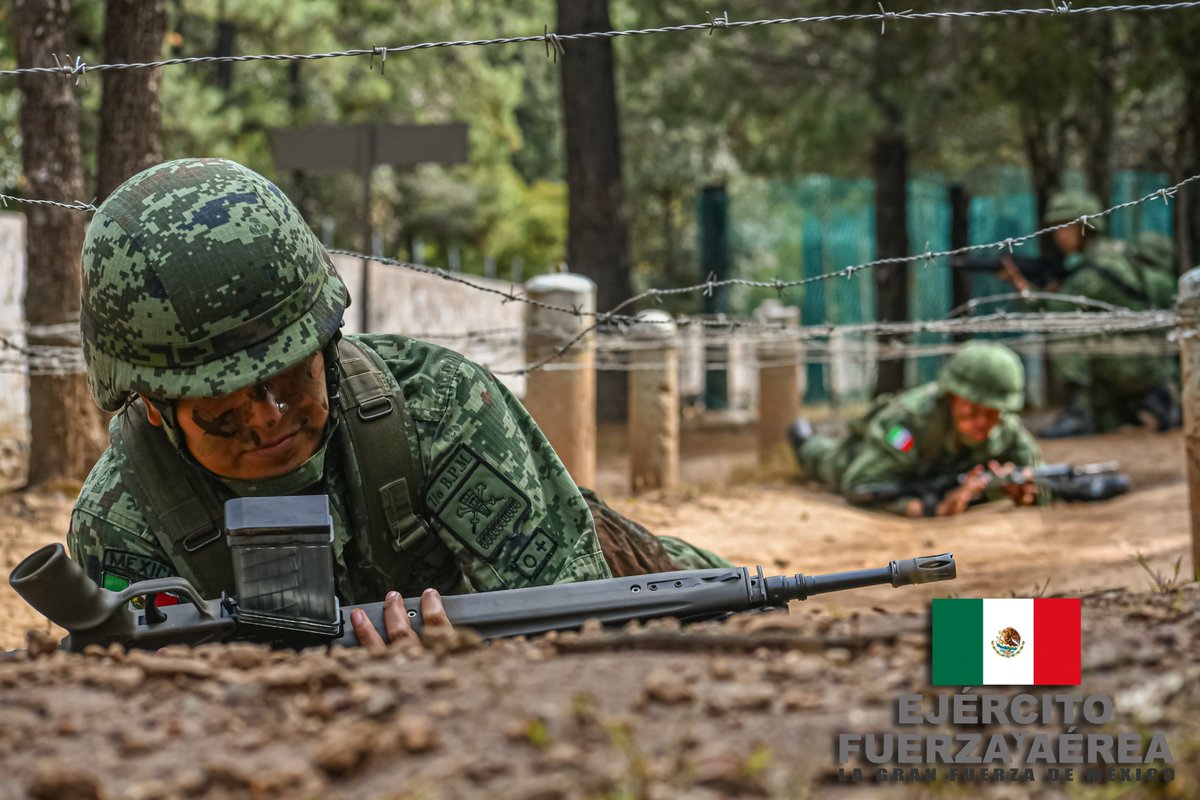 Defensamx1 tweet picture