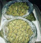steveburn13's tweet photo. #hash #hightimes #cannabis #hashsociety #cannabiscommunity #hazesociety #glassofig #bubblehash #hitmanglass #hashish #cali #legalizabrasil #blunt #cali #fullmelt #hashporn #colorado https://t.co/BWtwpJU3ge https://t.co/Yhv1KOpRDh