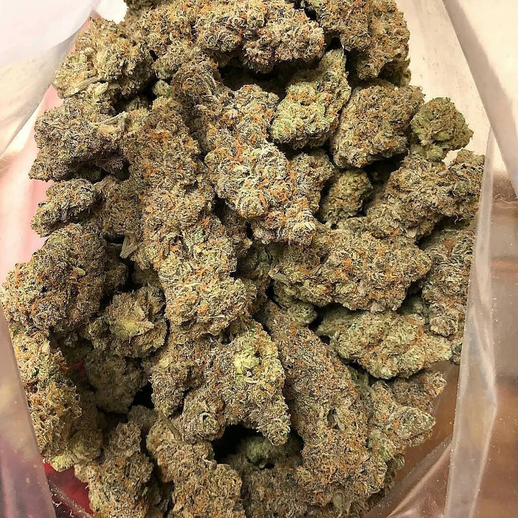 steveburn13's tweet photo. #hash #hightimes #cannabis #hashsociety #cannabiscommunity #hazesociety #glassofig #bubblehash #hitmanglass #hashish #cali #legalizabrasil #blunt #cali #fullmelt #hashporn #colorado https://t.co/BWtwpJU3ge https://t.co/6Nih1hZGmP