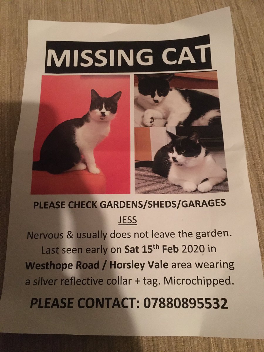 LisaLisaw1's tweet photo. #FindJess #Missing #Cat #SouthShields #TyneandWear https://t.co/JVLCgN78p2