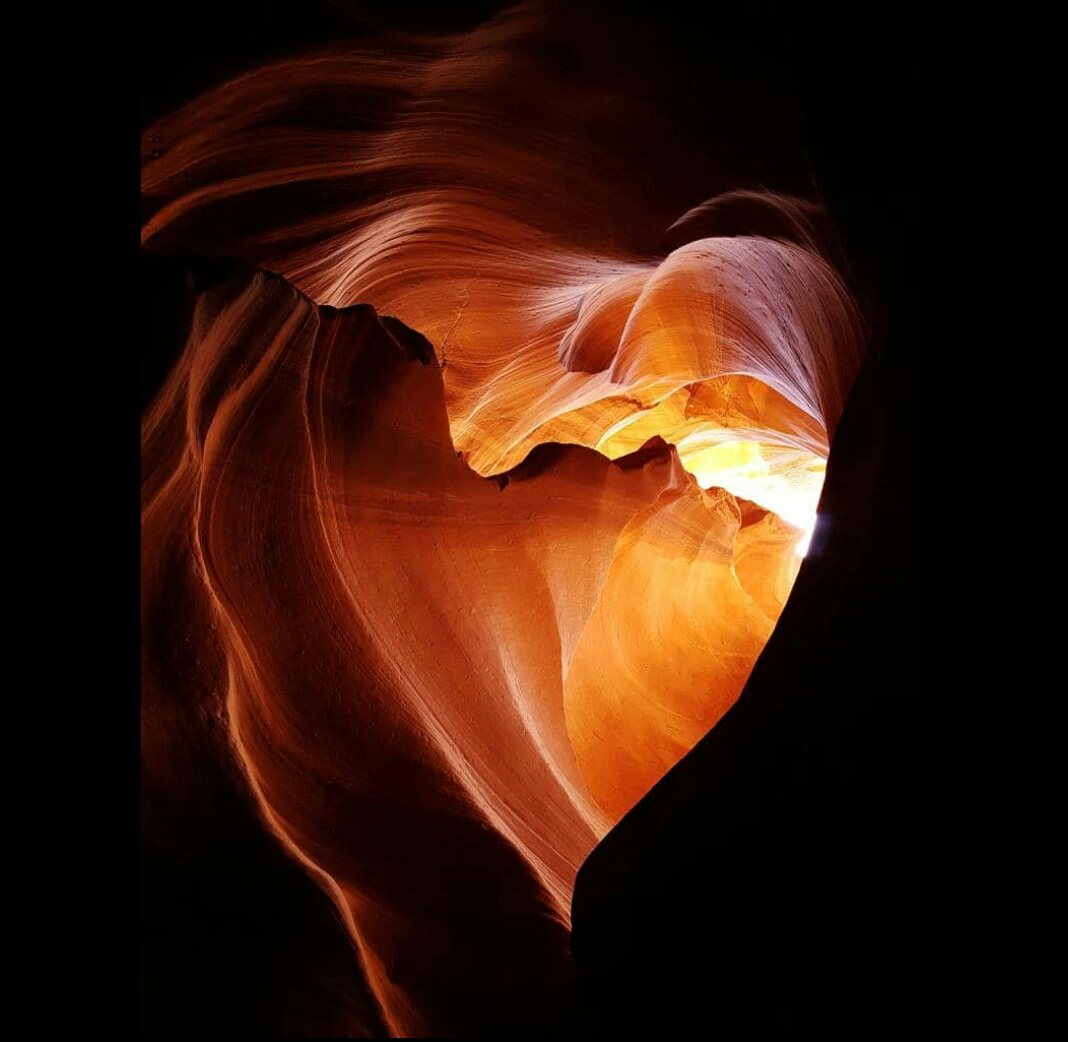 EarthschoolH's tweet photo. The most important thing in life is to learn how to give out love, and to let it come in. 

~ Morrie Schwartz 💚

#soulfool #Healing https://t.co/8WWMQLjCwv