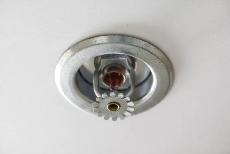 aquila_systems's tweet image. One woman decided to fake an injury to get time off from work, but didn't check her workplace for video cameras. Read the wild and bizarre story here. ow.ly/DOPC50ypXRf #workerscomp #workerscompfraud #insurancefraud