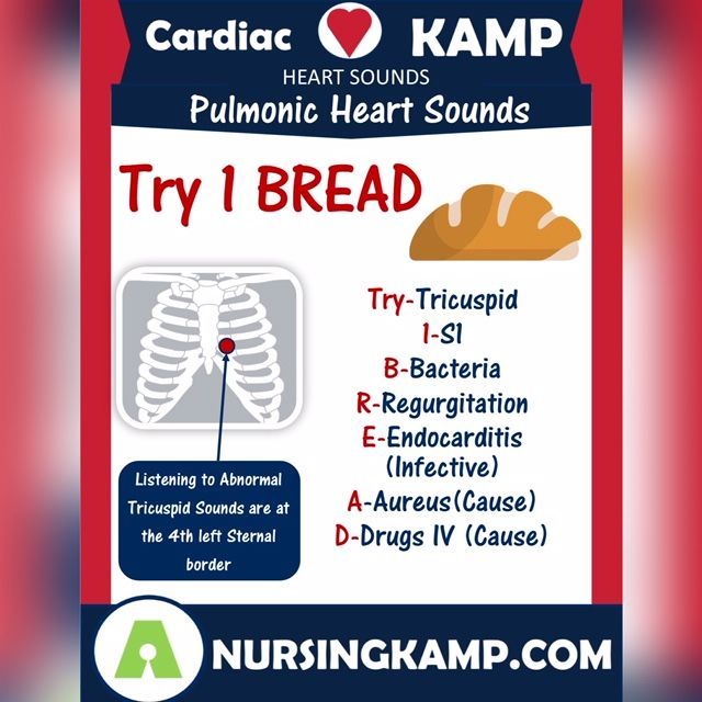 NursingKAMP's tweet photo. Tricuspid Valves are the first valves that blood hits when it enters the heart which increases the chances it will be infected by pathogens, From my companion cardiac book free with https://t.co/IUpgWaAUyg https://t.co/gdov5WSLgn