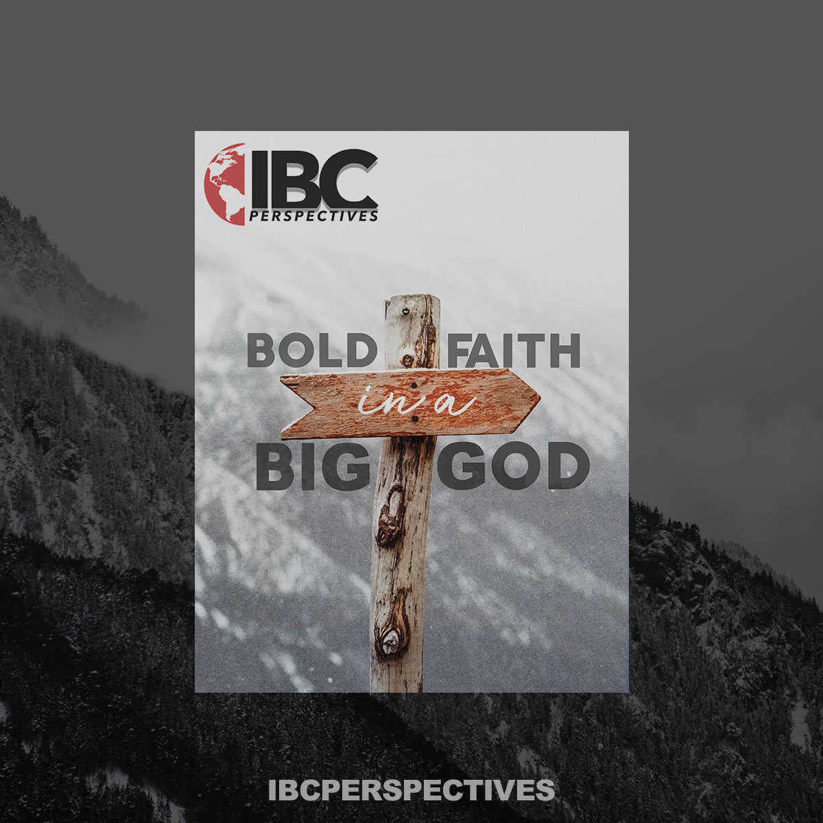 IBC Perspectives tweet media