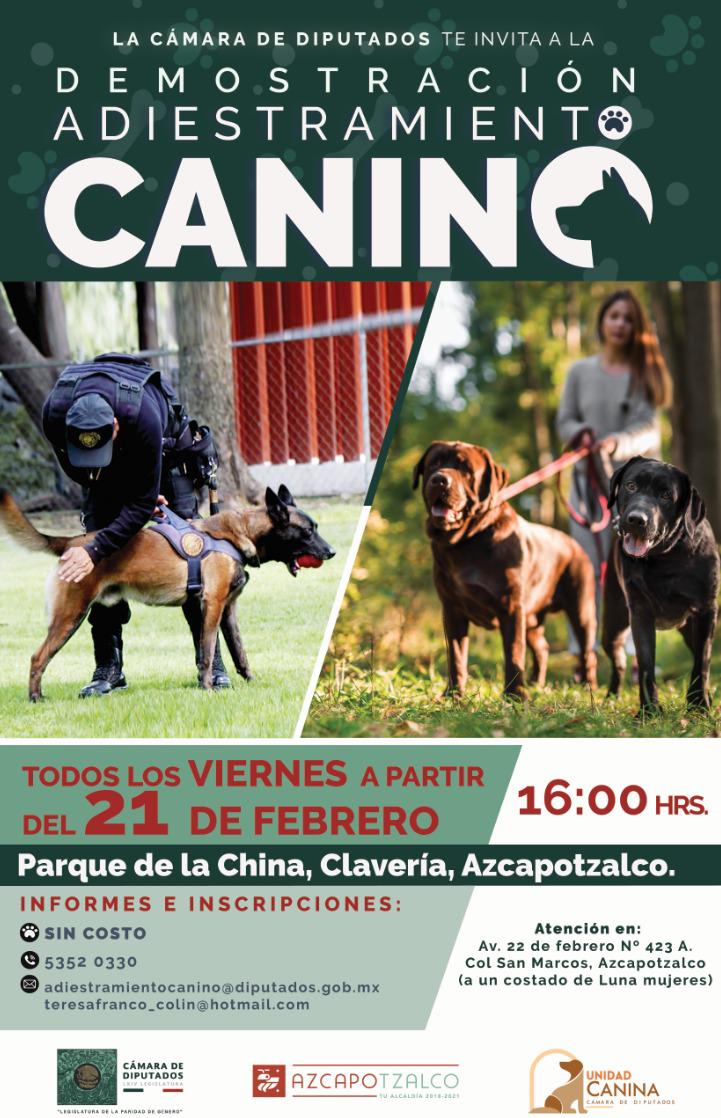vidallerenas's tweet photo. Este viernes iniciamos con los cursos de adiestramiento canino que la alcaldía #Azcapotzalco , en conjunto con la Cámara de Diputados ofrecen para todos los vecinos. Aún hay espacios disponibles!! https://t.co/D5PWTfEzCz