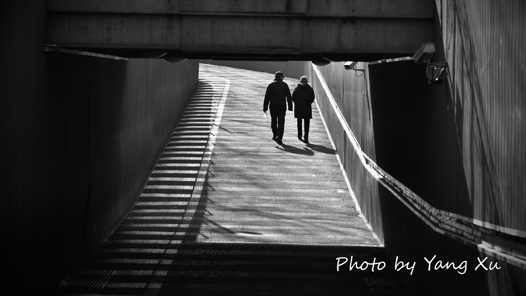 xydocu (@xydocu) on Twitter photo 